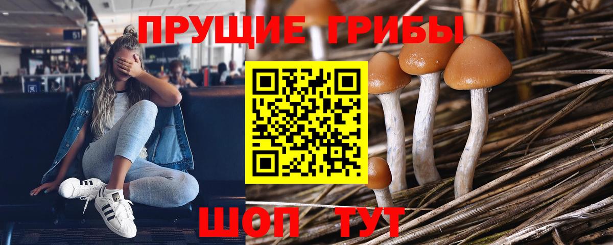 Галлюциногенные грибы ЛСД  Псилоцибиновые грибы Cubensis  Ленинск-Кузнецкий  Вход с VPN 